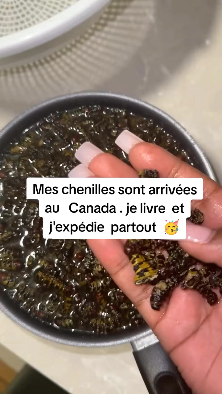 @DALO CHITOUMOU