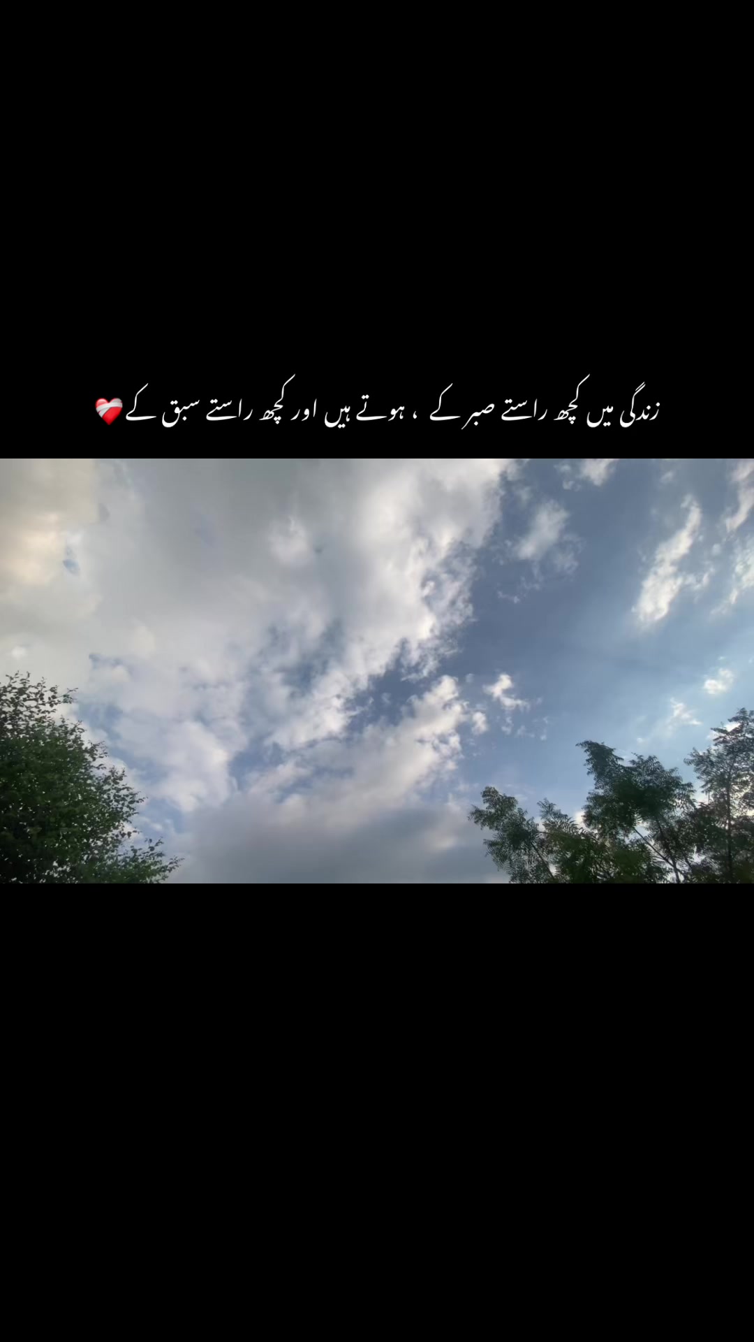 @Ash🐼❤️