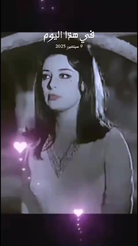@amrnoor