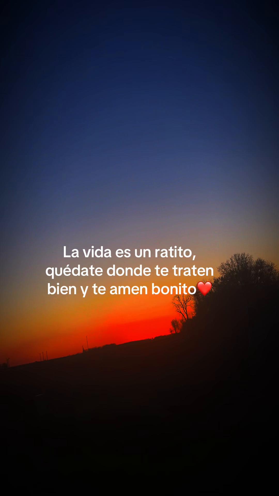 @Fanyfls🌸