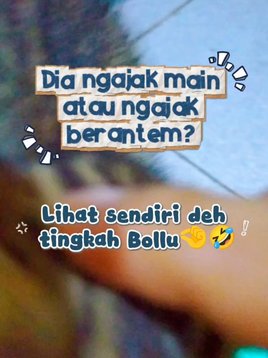 @Bollu
