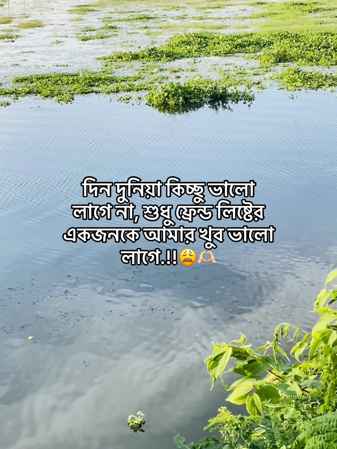 @Z&iota; нᴀᴅ ⚡