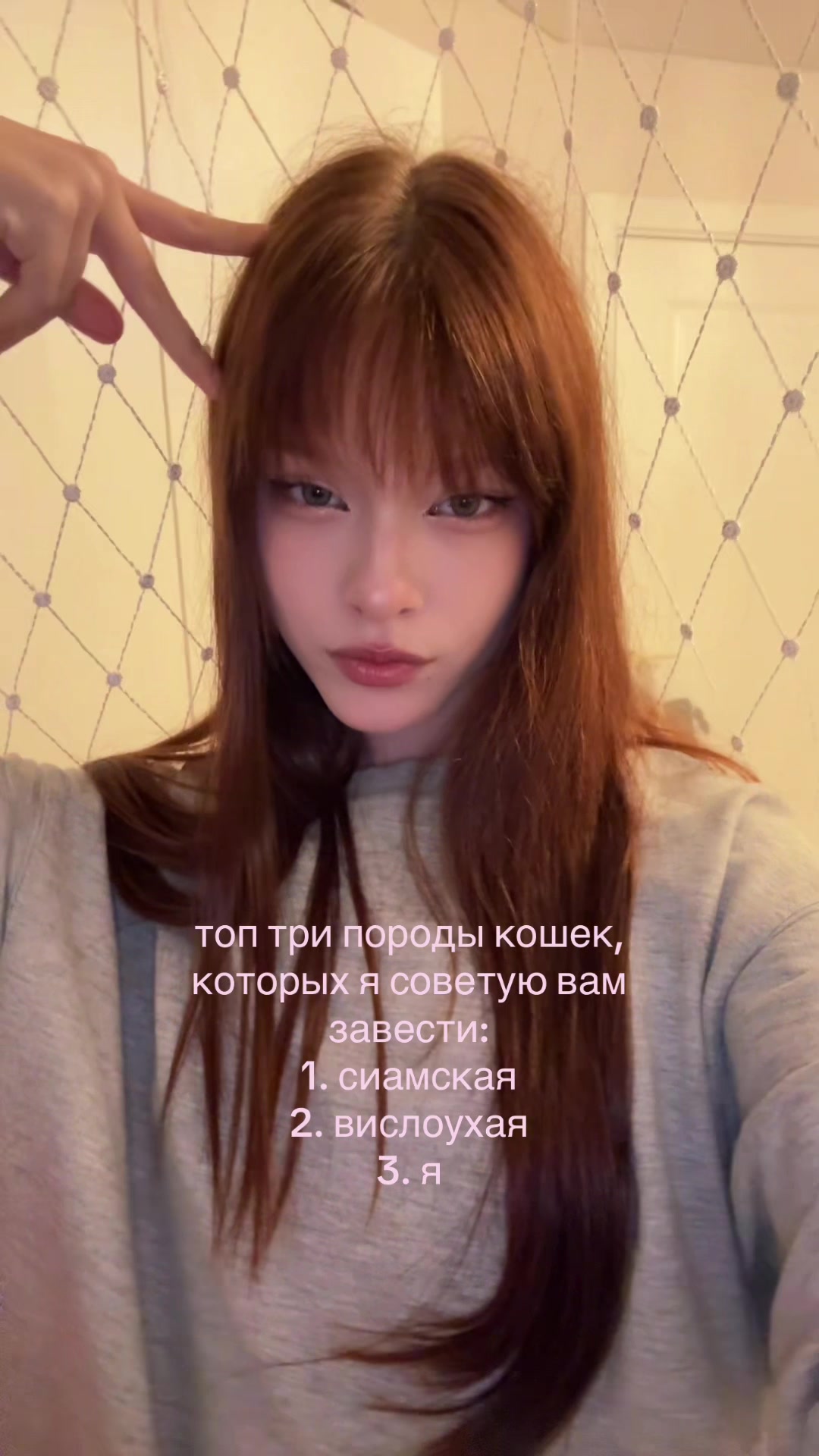 @аликью🪽