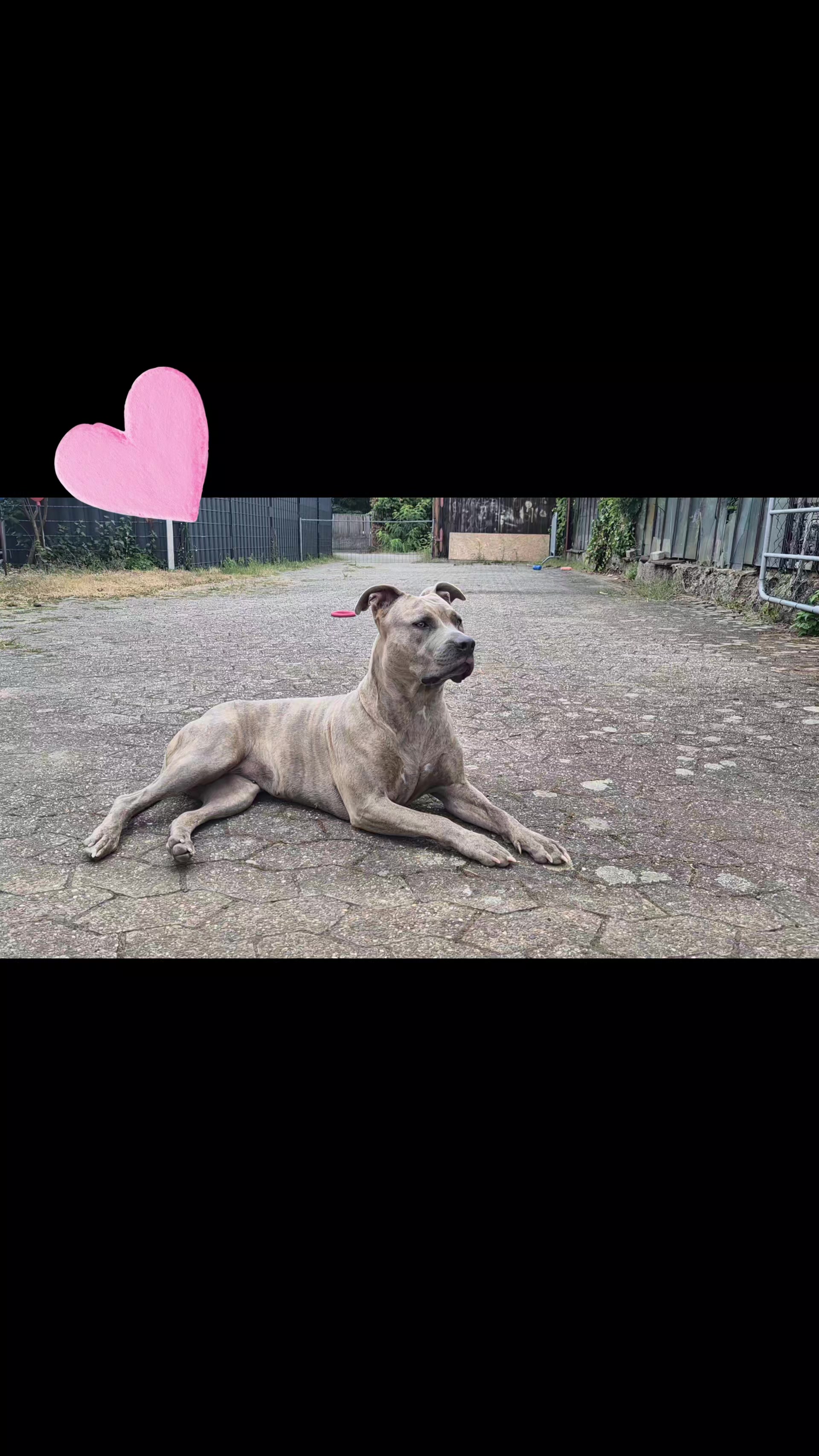 @Primo❤️Manou ❤️Hope ❤️