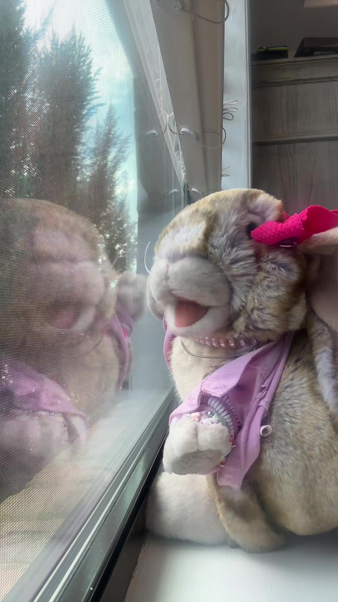 @rabbitdaisymae