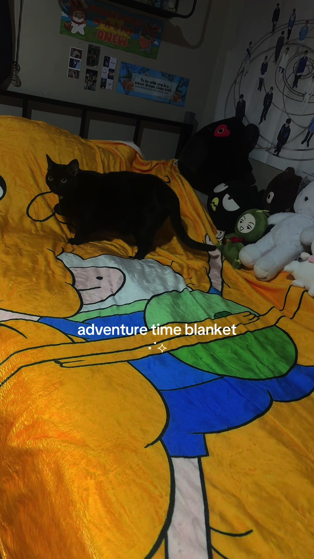 @cat