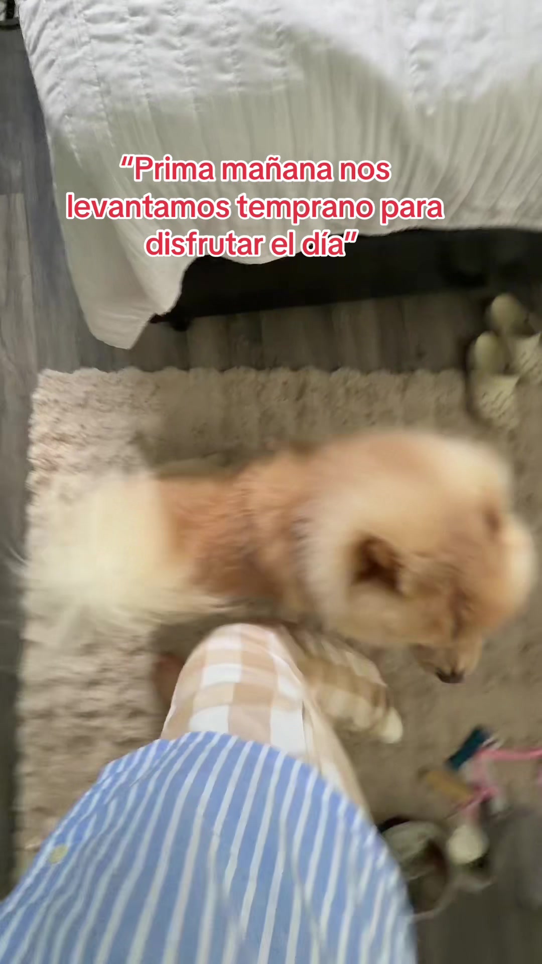 @Lis_Jimenez504