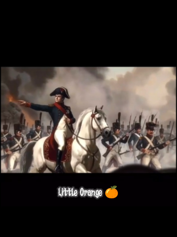 @Little Orange 🍊