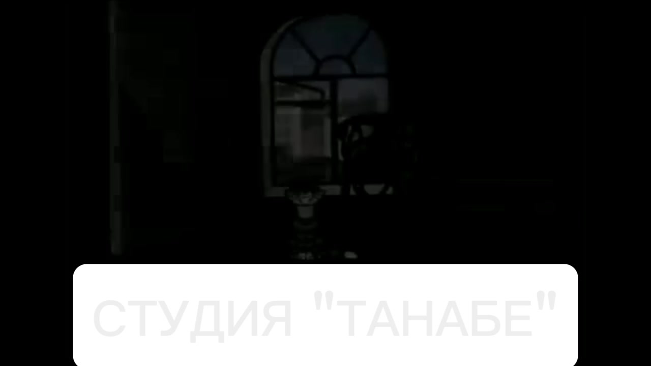 @Видосер