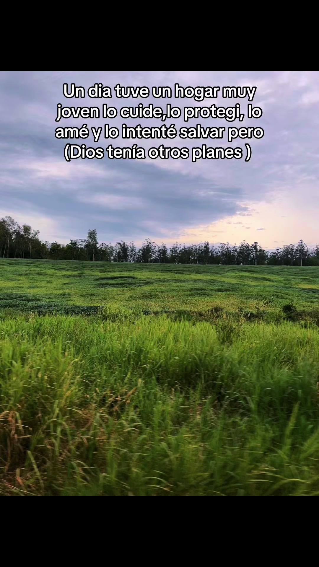 @María