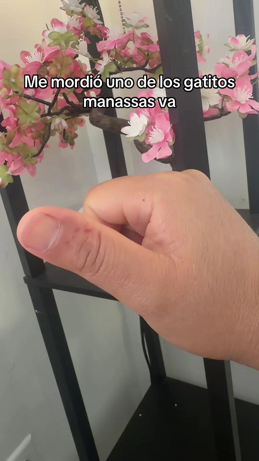 @rigo_ruiz
