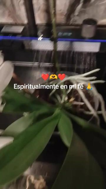 @La bruja de la Santa Muerte ❤️