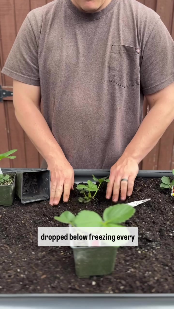 @Real Farmer Jeff