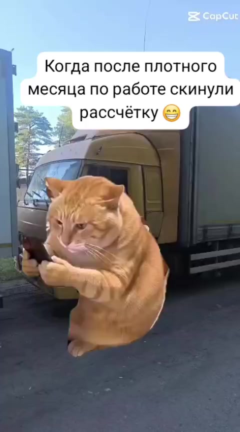 @Александер