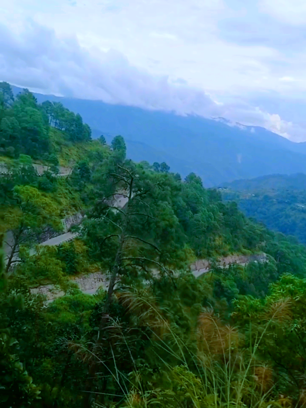 @Harka Moktan