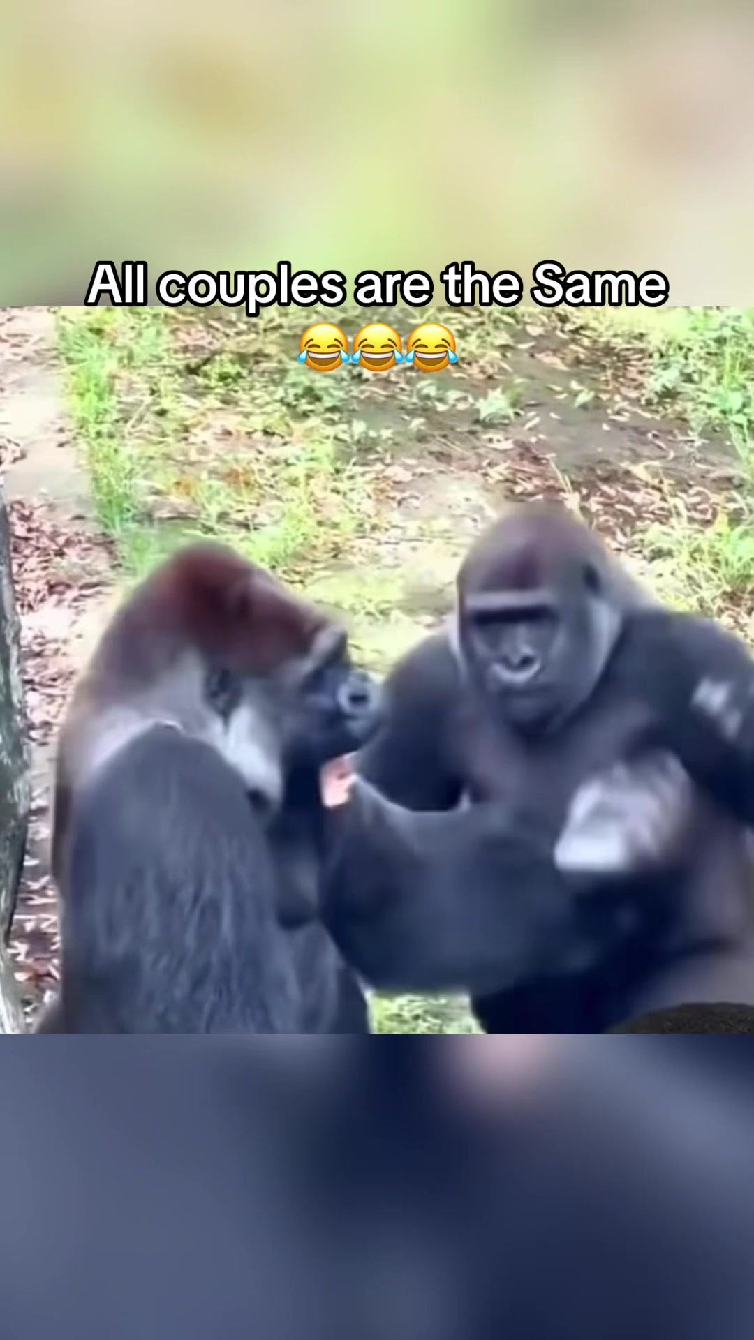 @ThatsYodi