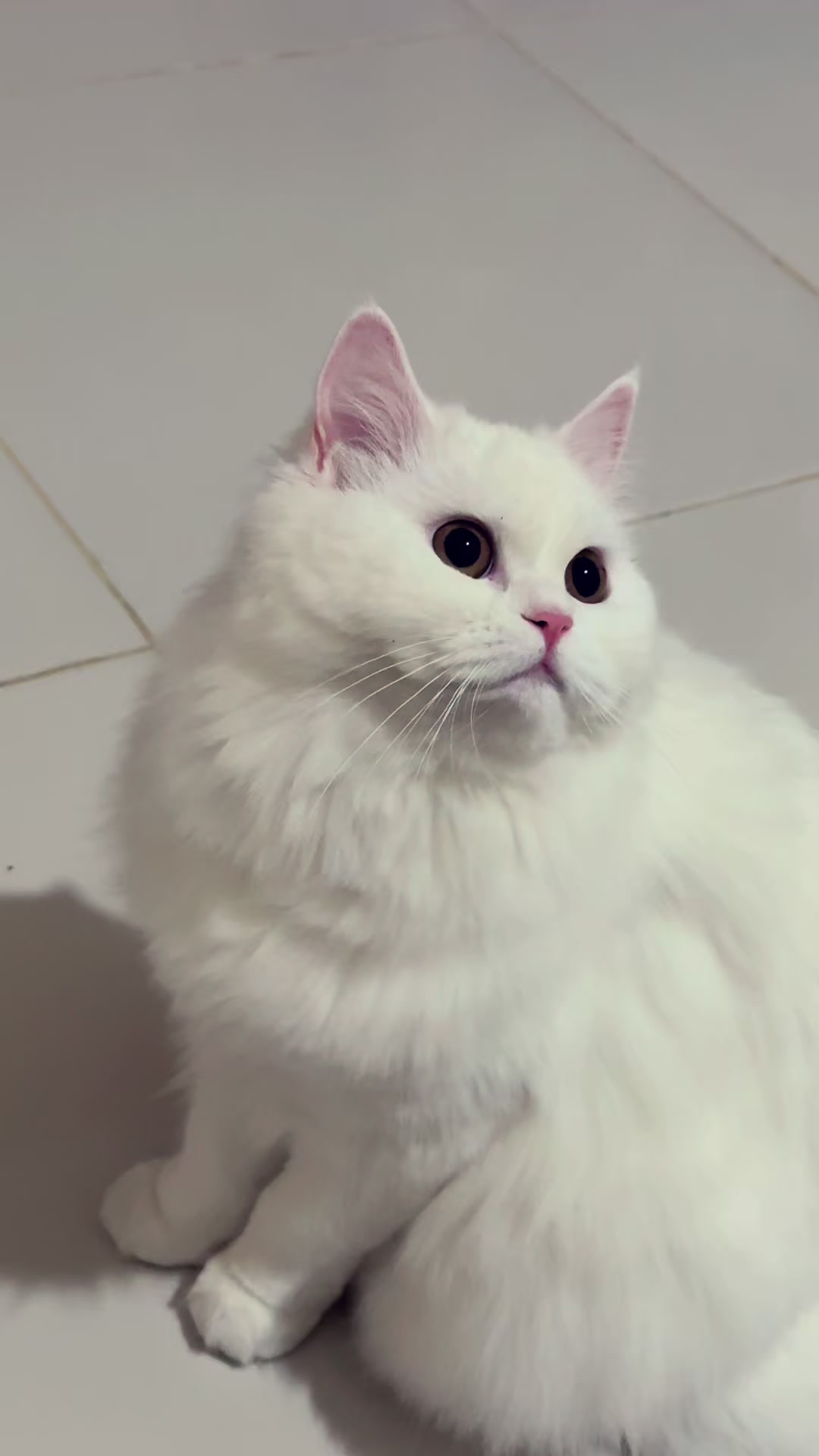 @&infin;