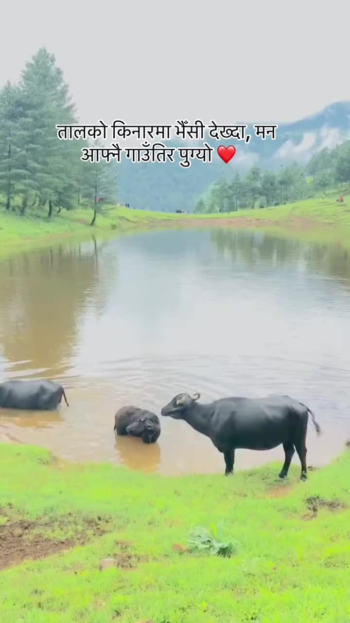@marvinmartha460
