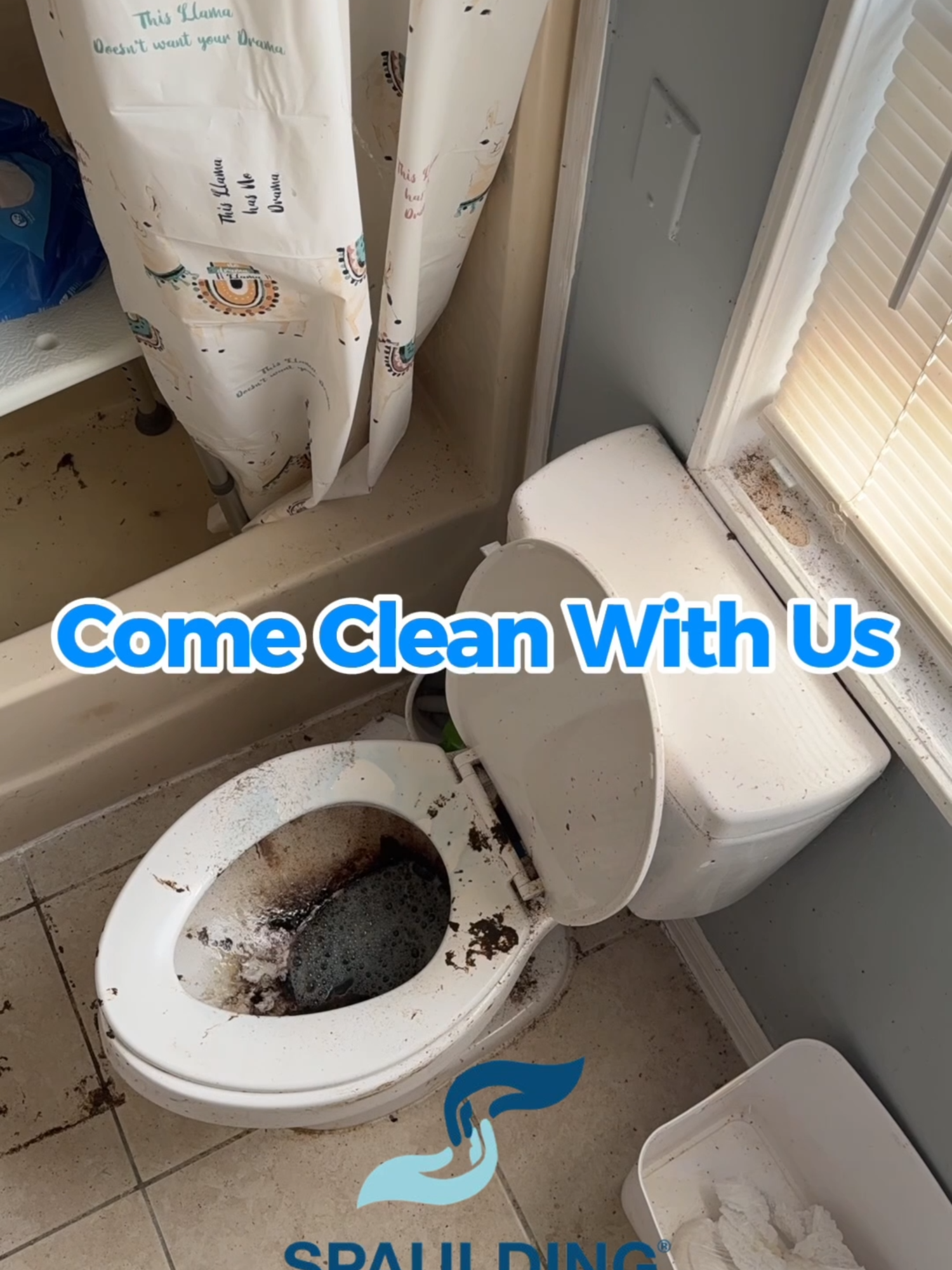 @Crime Scene Cleaning