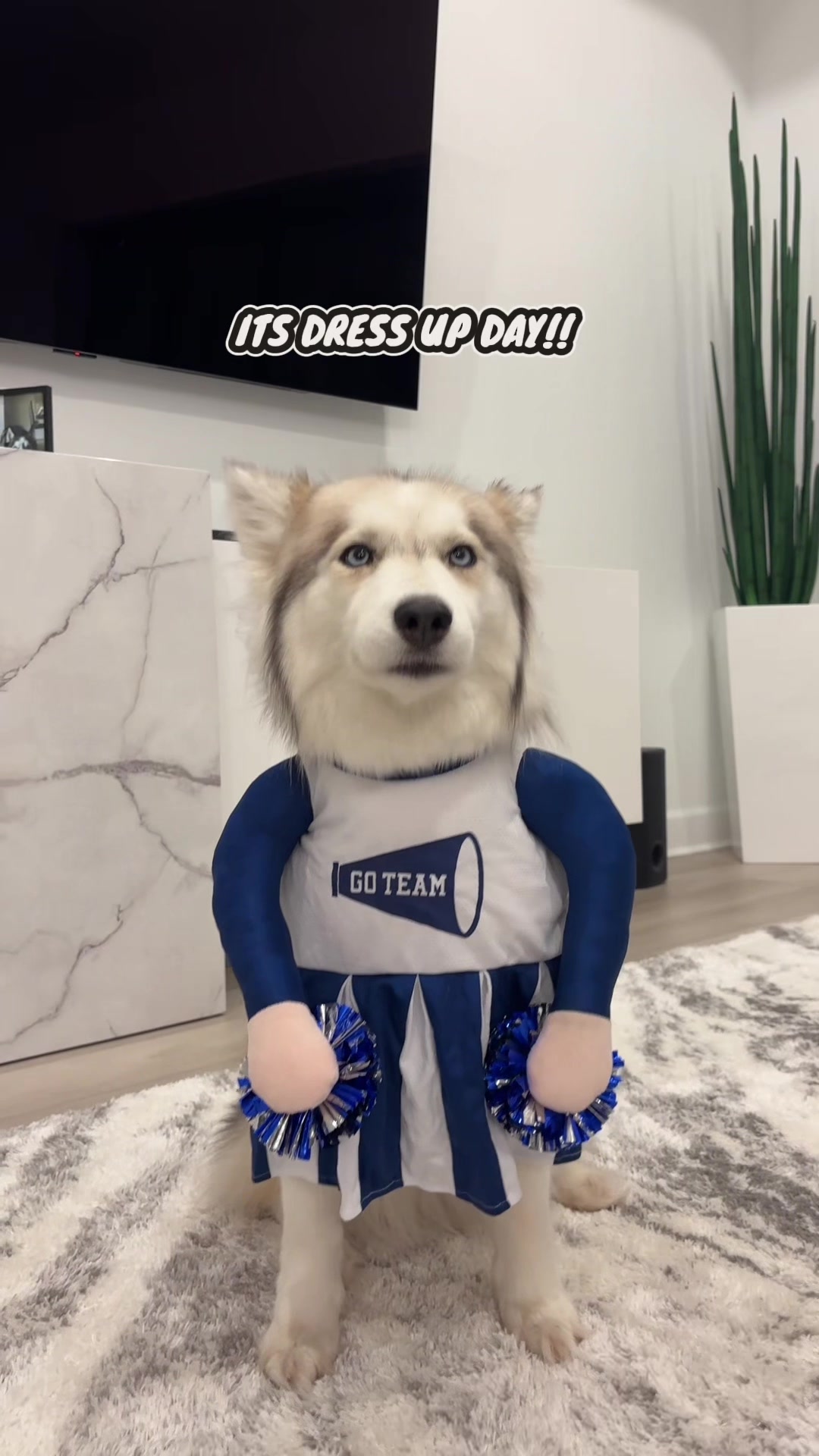 @lifewith2huskies