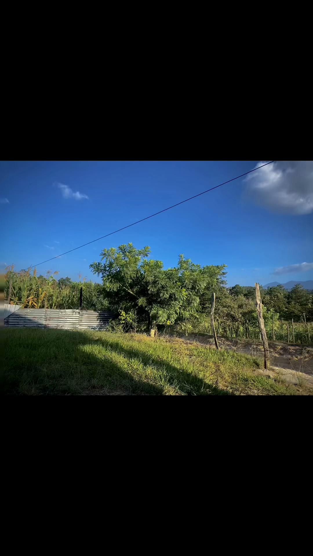 @🍒Genesis 🤍🍒