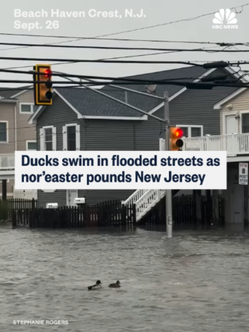 @nbcnews