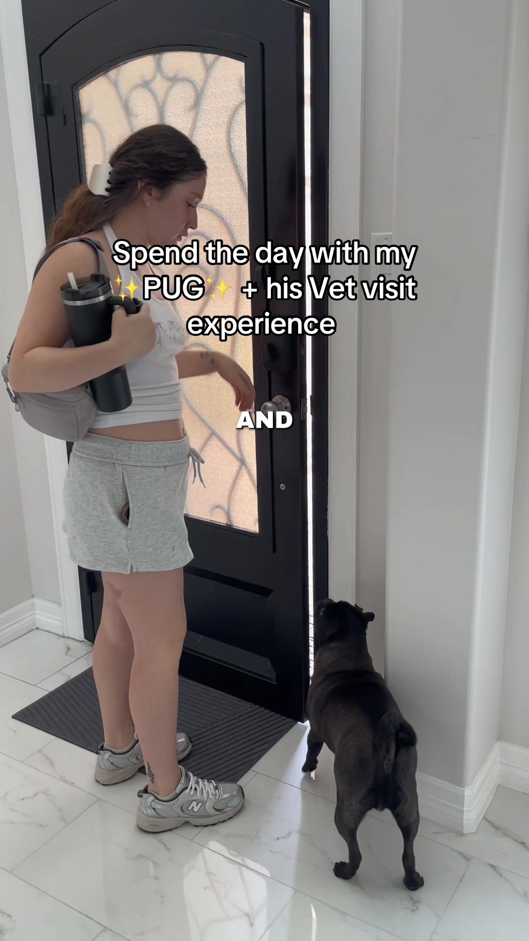 @papitheservicepug