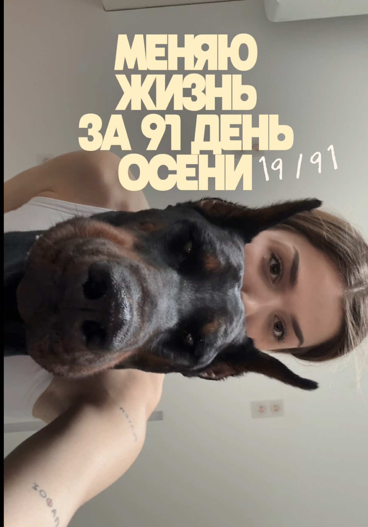 @Дари Доберс