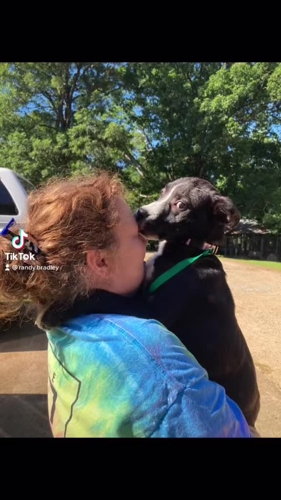 @MrAnimalRescuer
