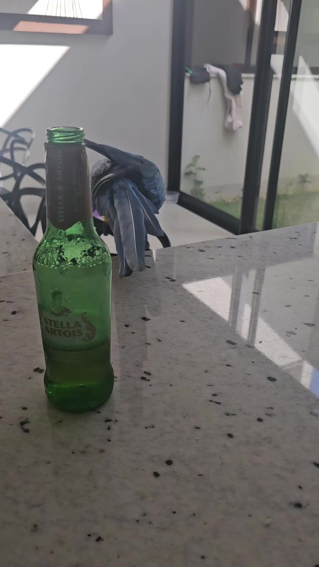 @Flávia Freitas