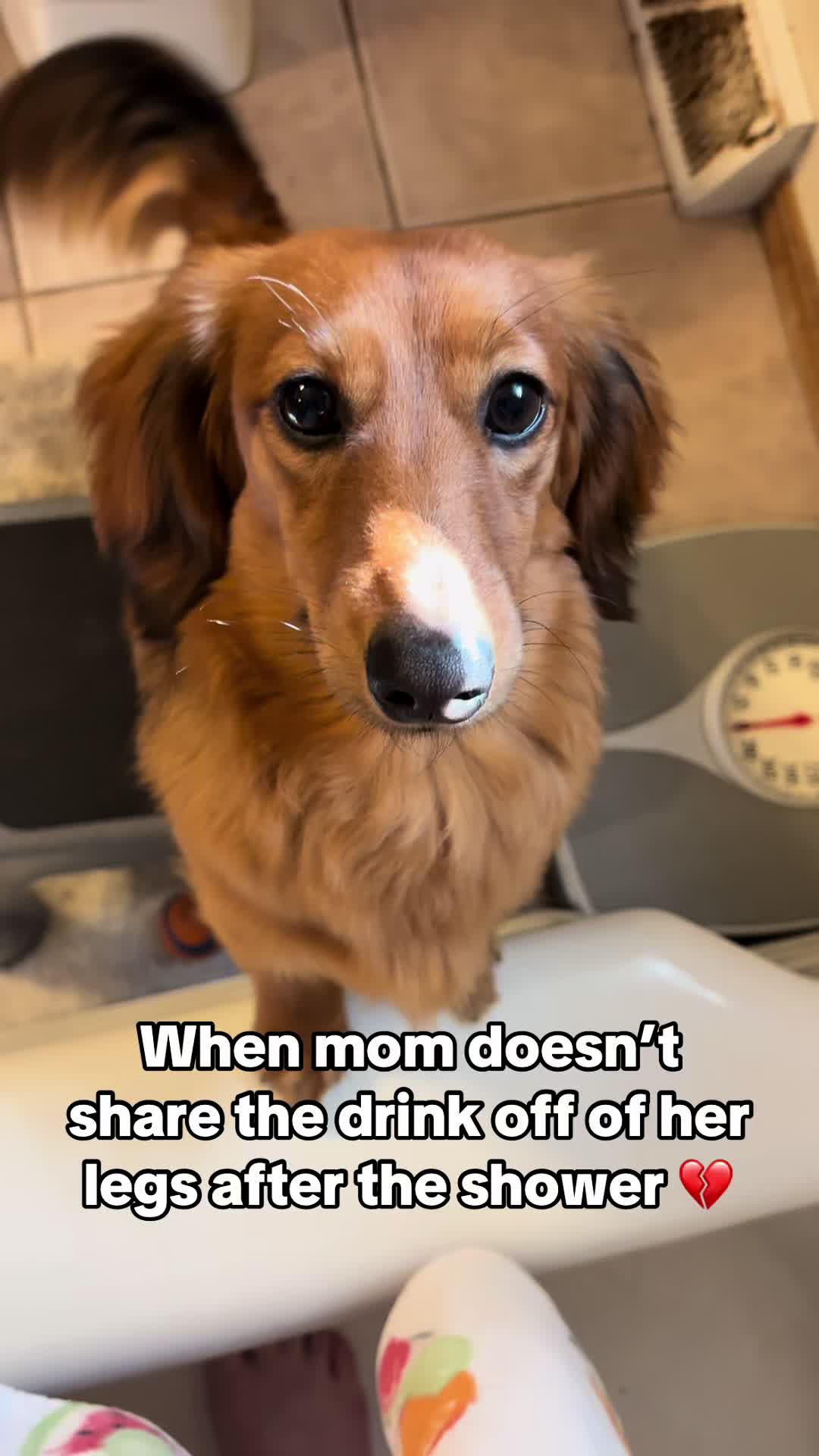 @remi.the.mini.ween