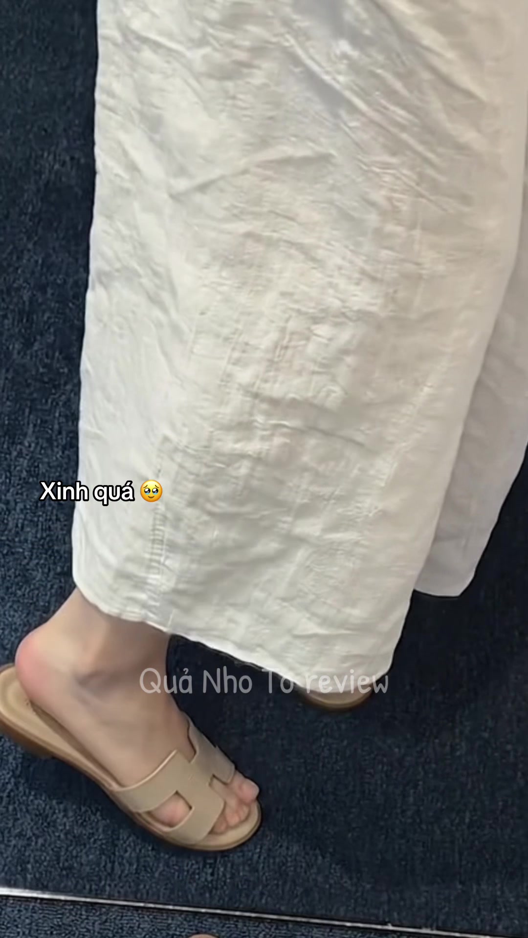 @Quả Nho To 𝓻𝓮𝓿𝓲𝓮𝔀 🍇