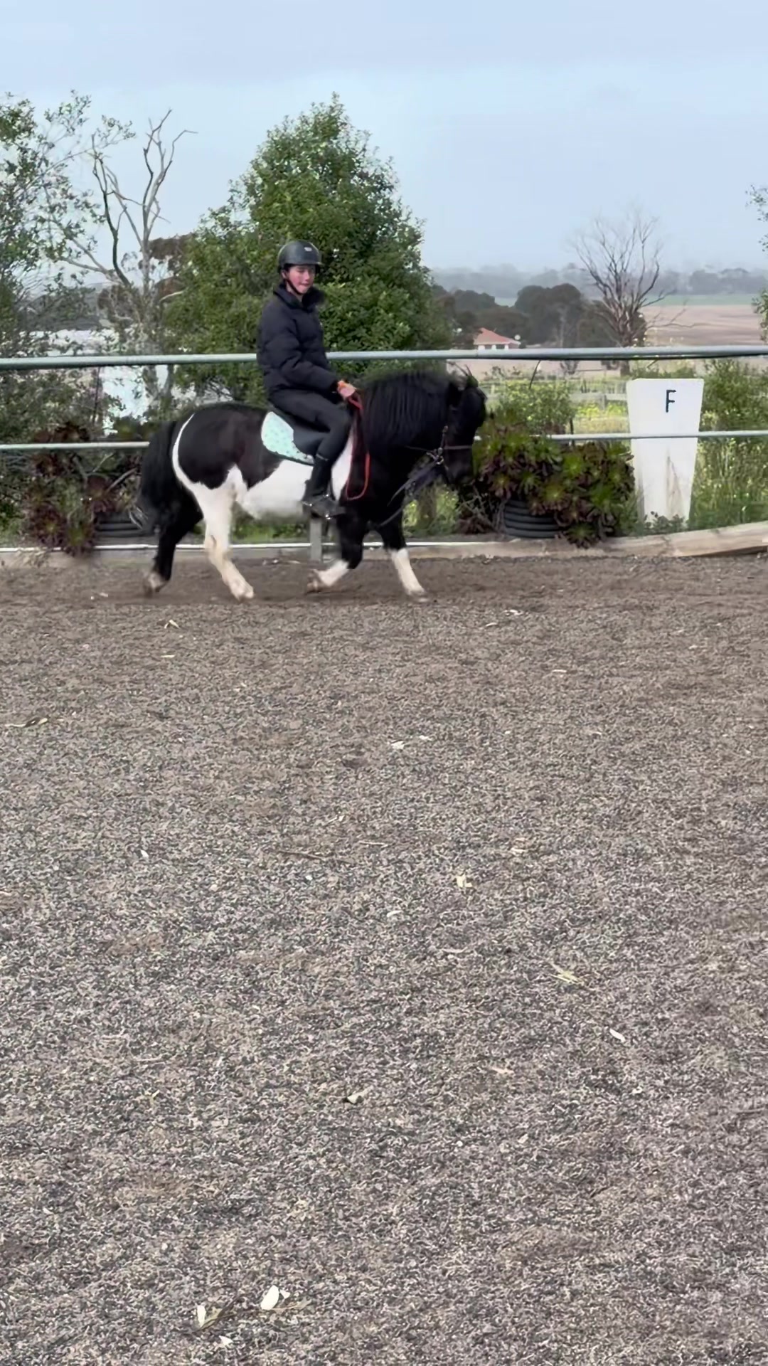@🖤 Savs ponies🤍