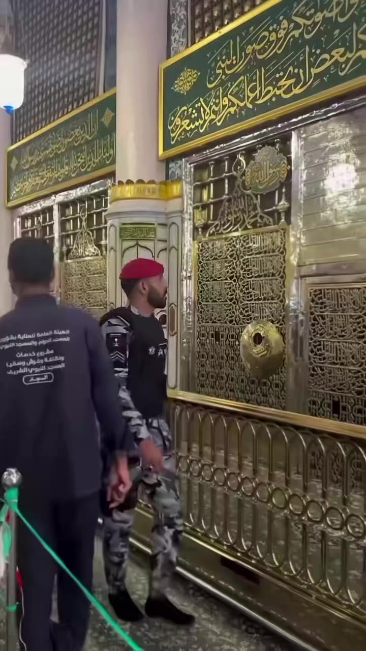 @shain2584