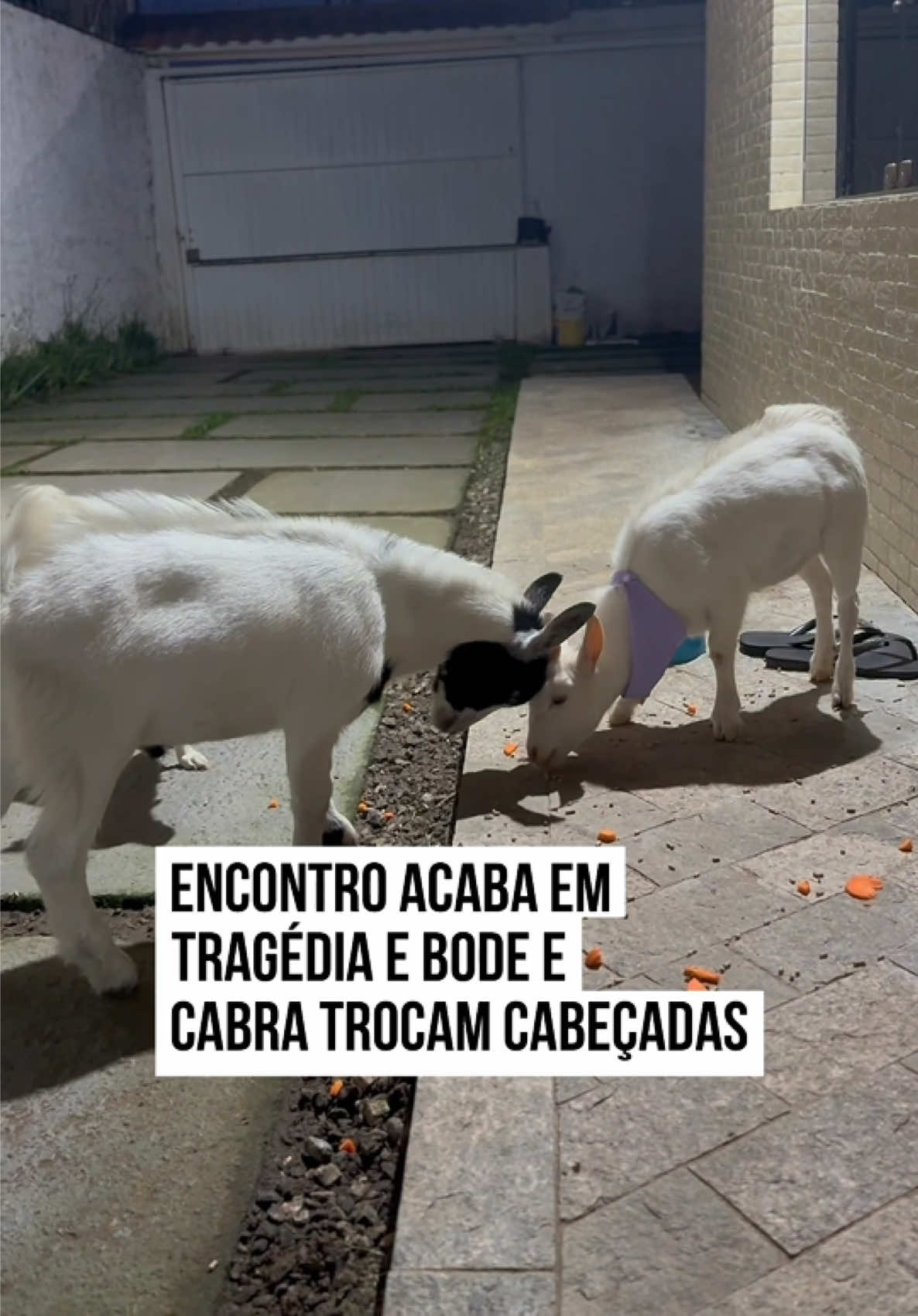 @Metr&oacute;poles Oficial