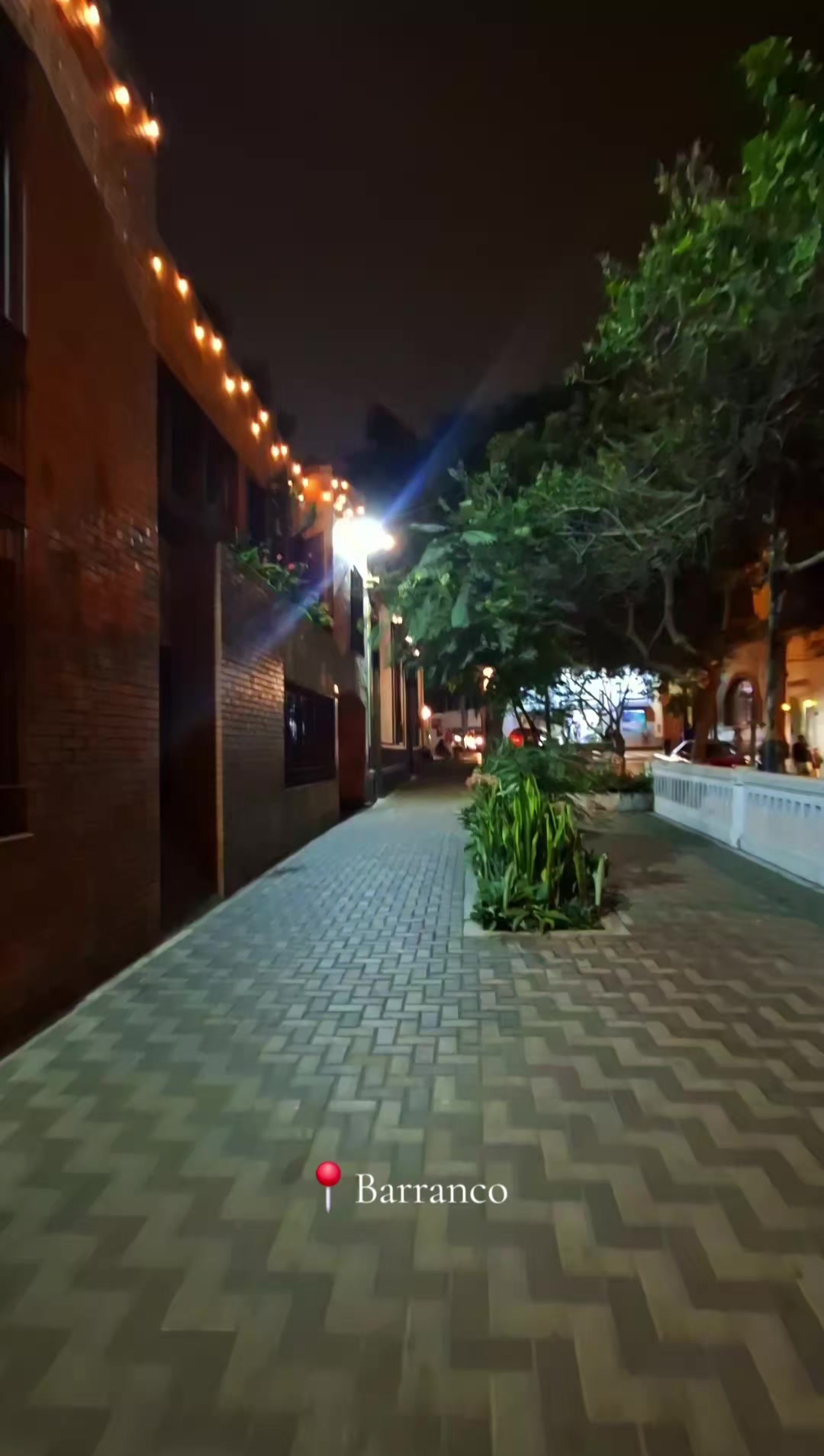 @&Lambda;L&Lambda; 🦉📚