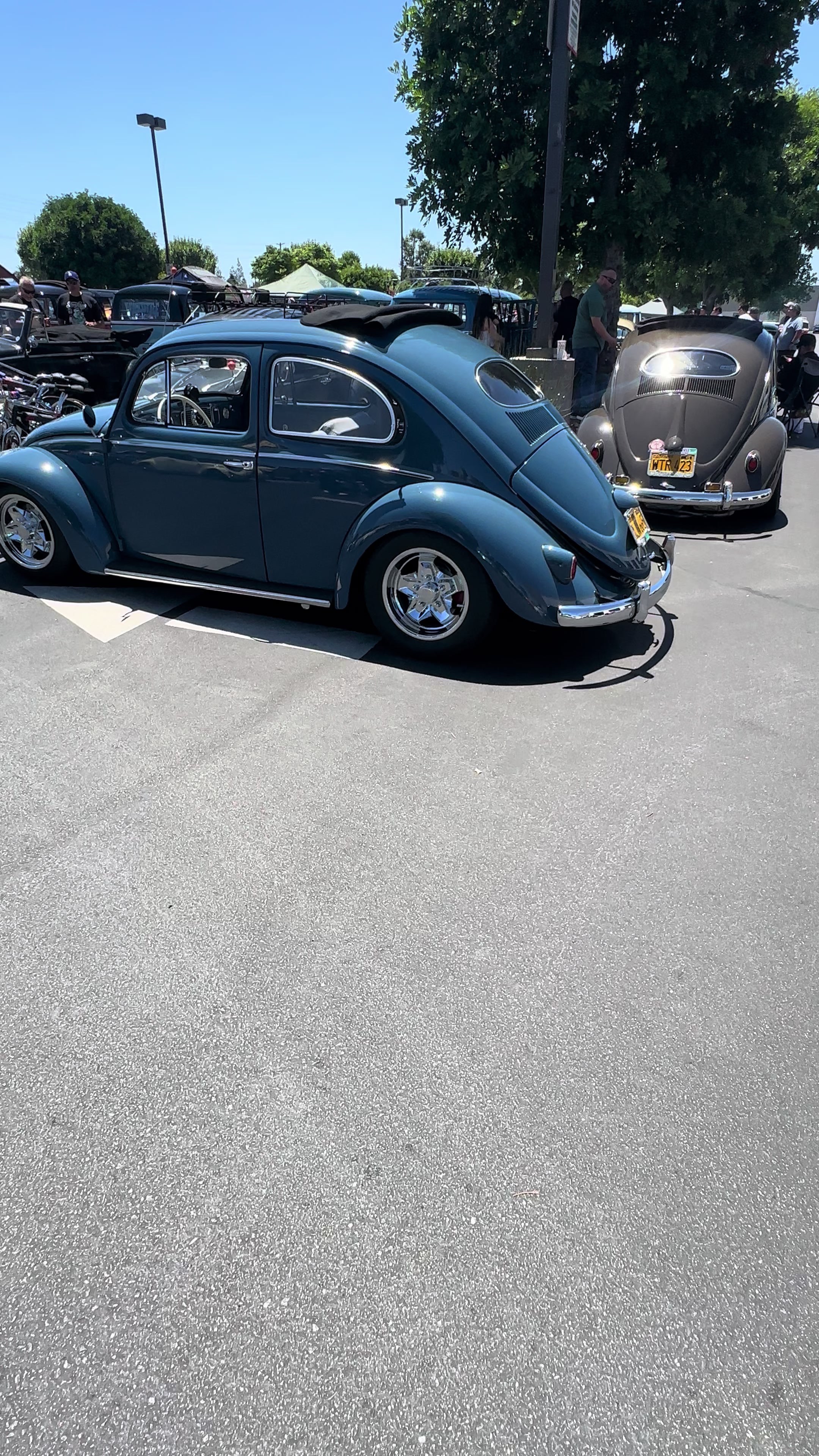 @RealstreetDino