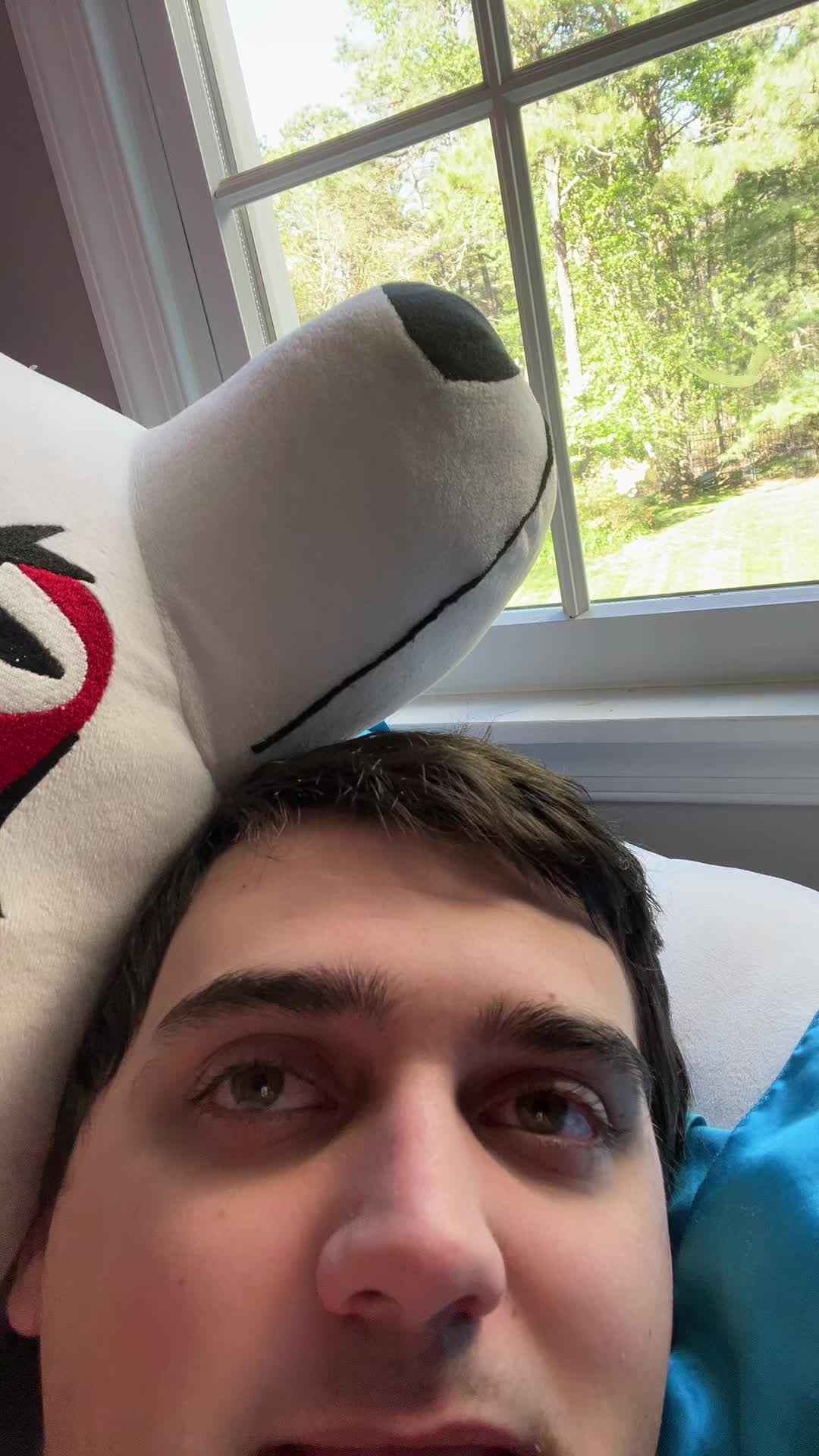 @JohnieCanine