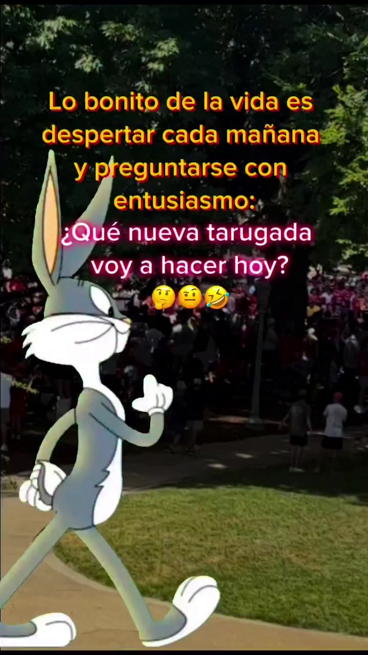 @noe