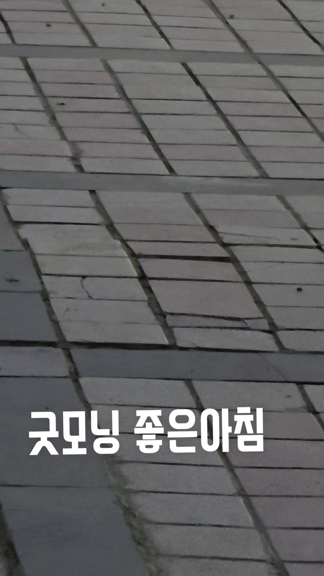 @김동욱802