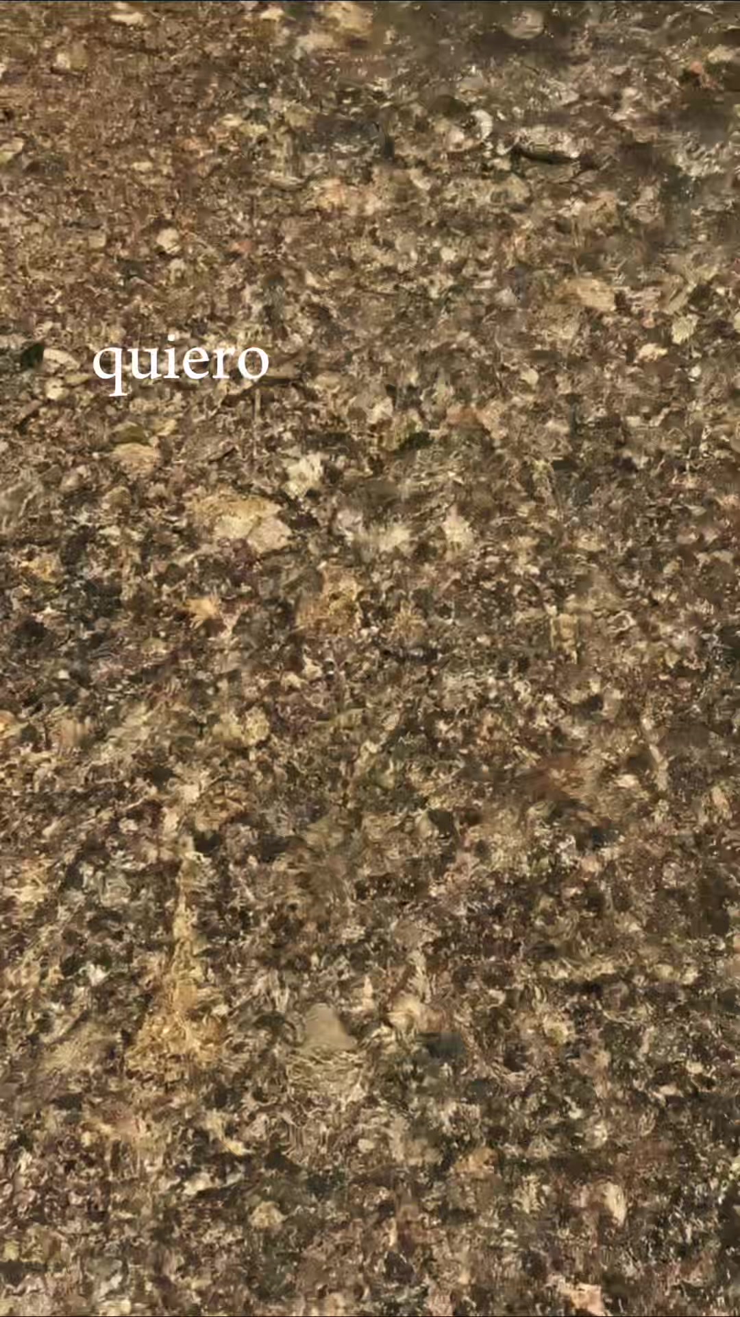 @Nata
