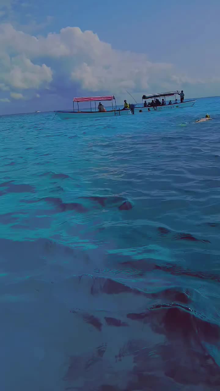 @Abbymohamed