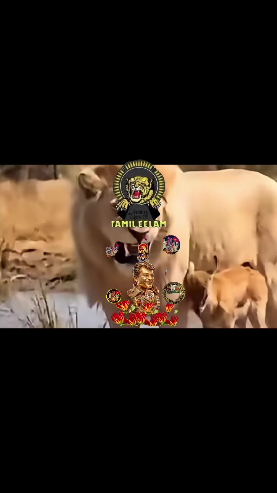 @குமார் தமிழ் Kumar Tamil