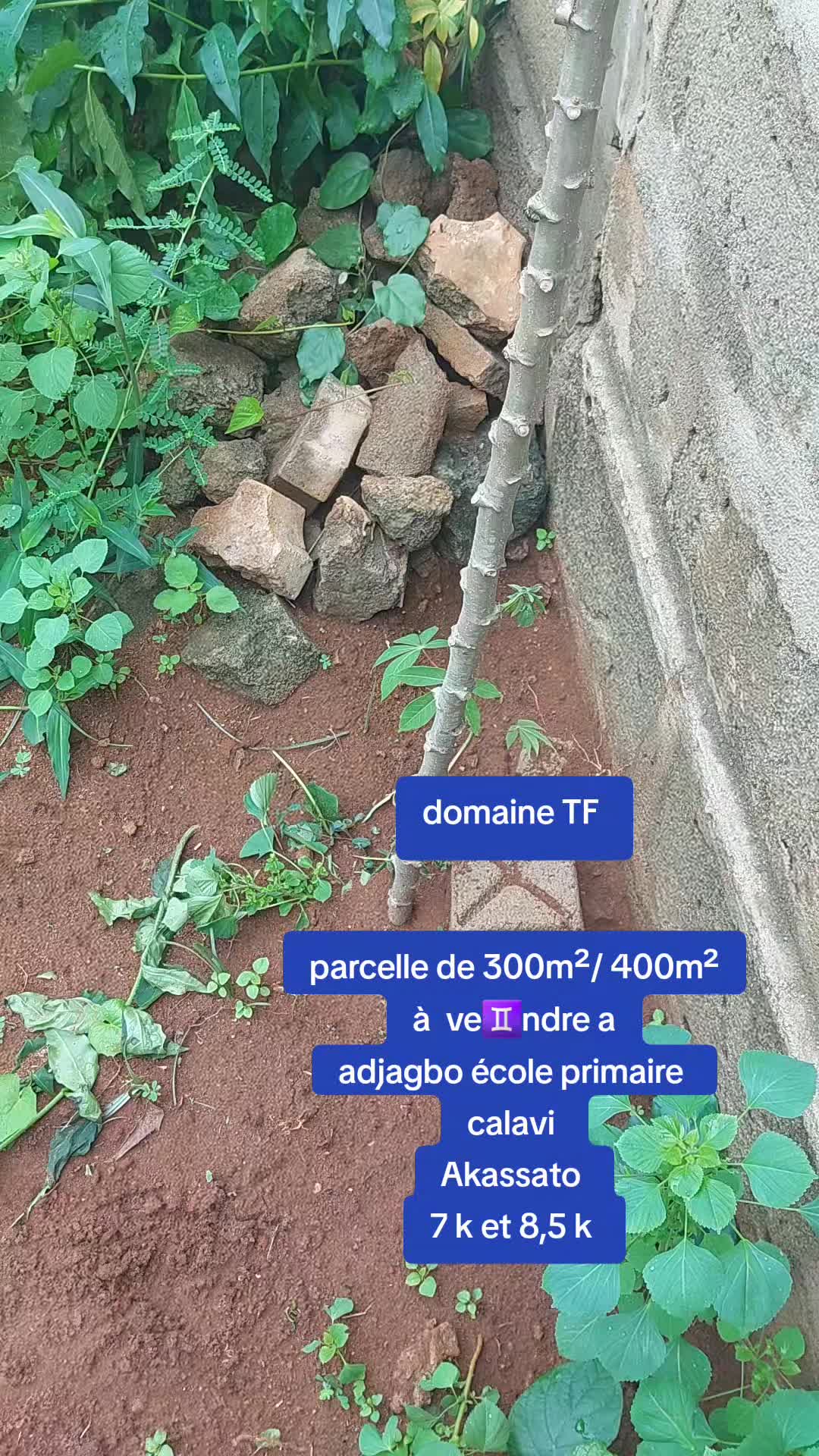 @Ets St Marc Immo