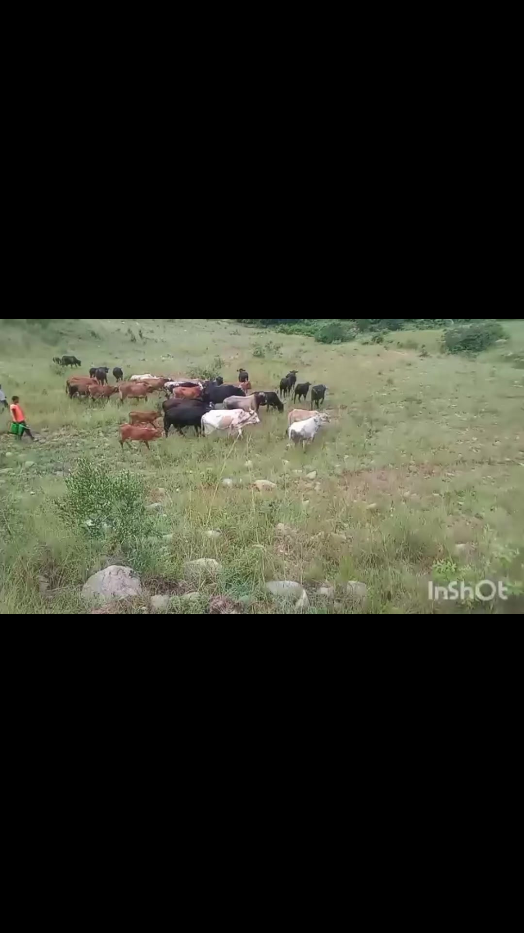 @MTHINTI WENTO GWABINI