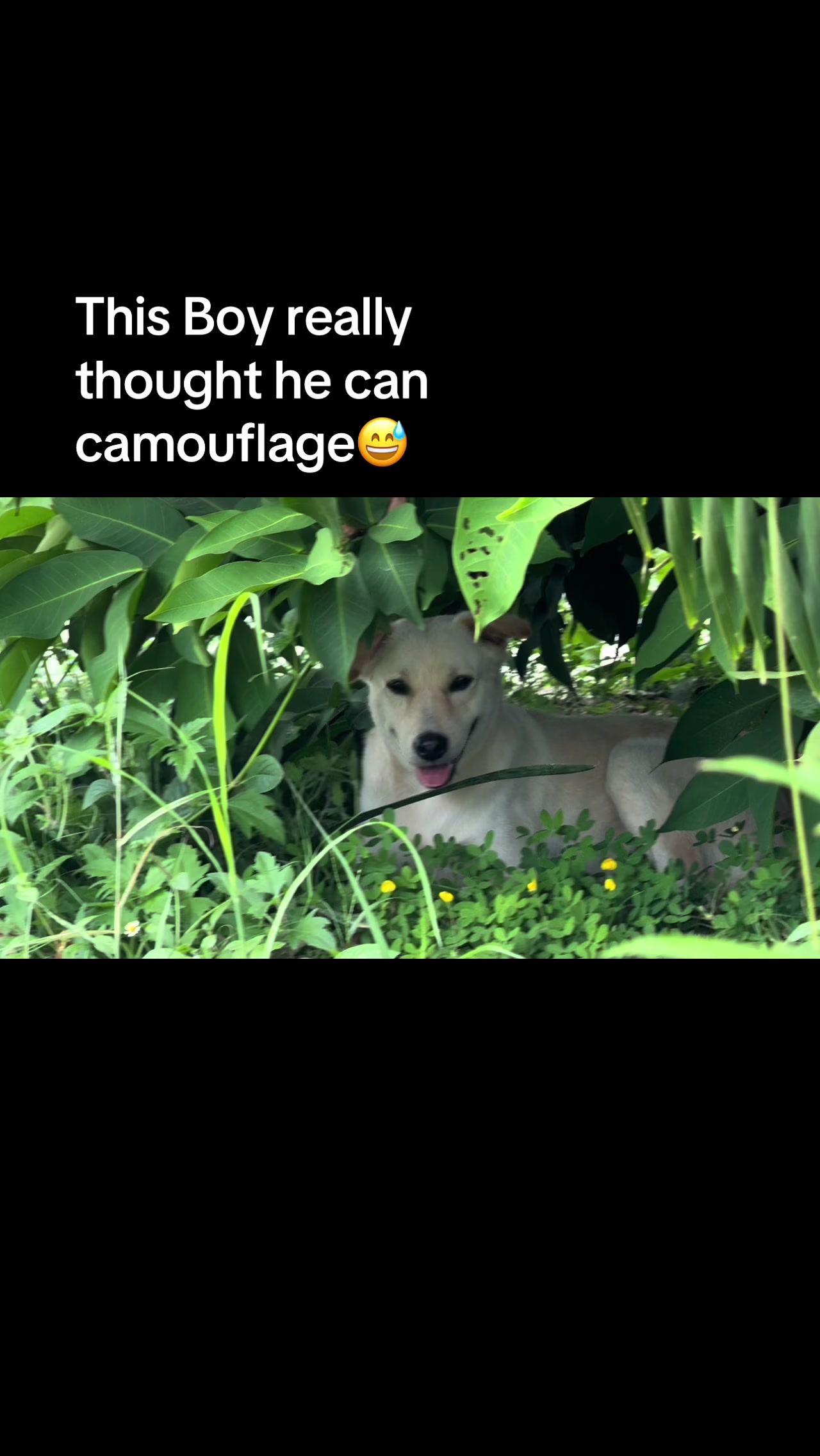 @🖤
