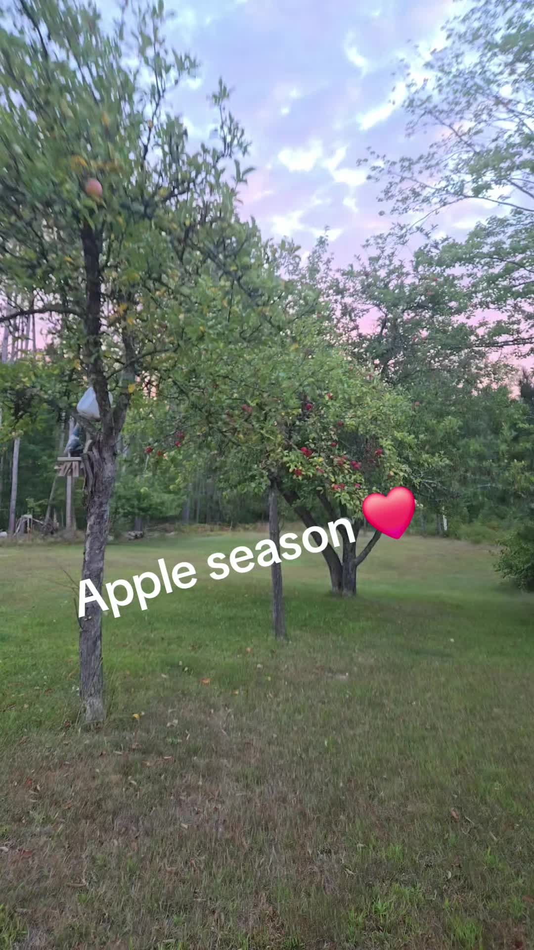 @KP 🌻