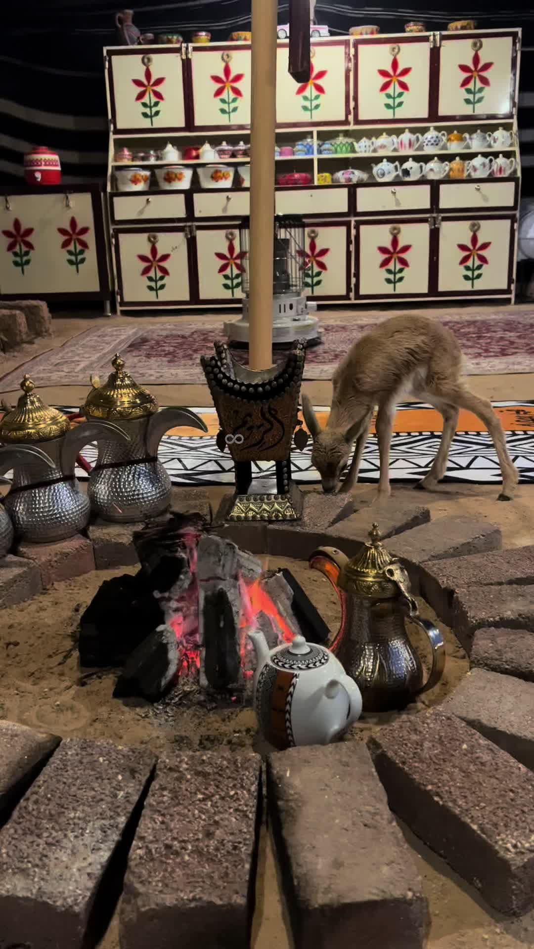 @الريم السعدي 𓄃✔️موثوق