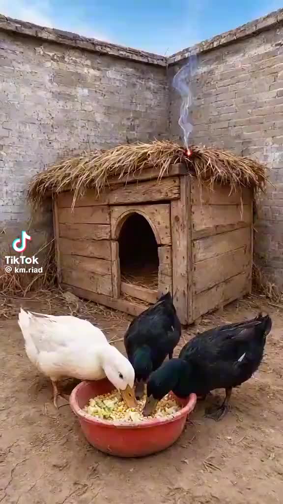 @❤️❤️লামিয়া❤️ইসলাম❤️❤️