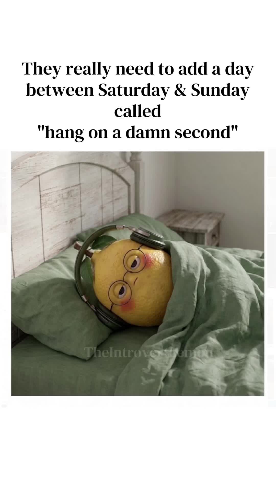 @The Introvert Lemon